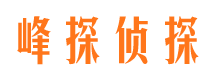 桃山寻人公司